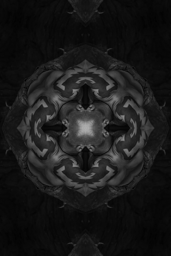 Creatures, Gods and Architectures by Dmitry Zakharov
